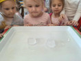/album/ziva-neziva-priroda/611386248-2211161862620671-411248361358207306-n-jpg/
