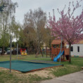 /album/galeria-ms/20260413-135204-jpg1/