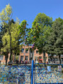 /album/maj-zeleny/678766544-1523898925745722-9112508634803284710-n-jpg/